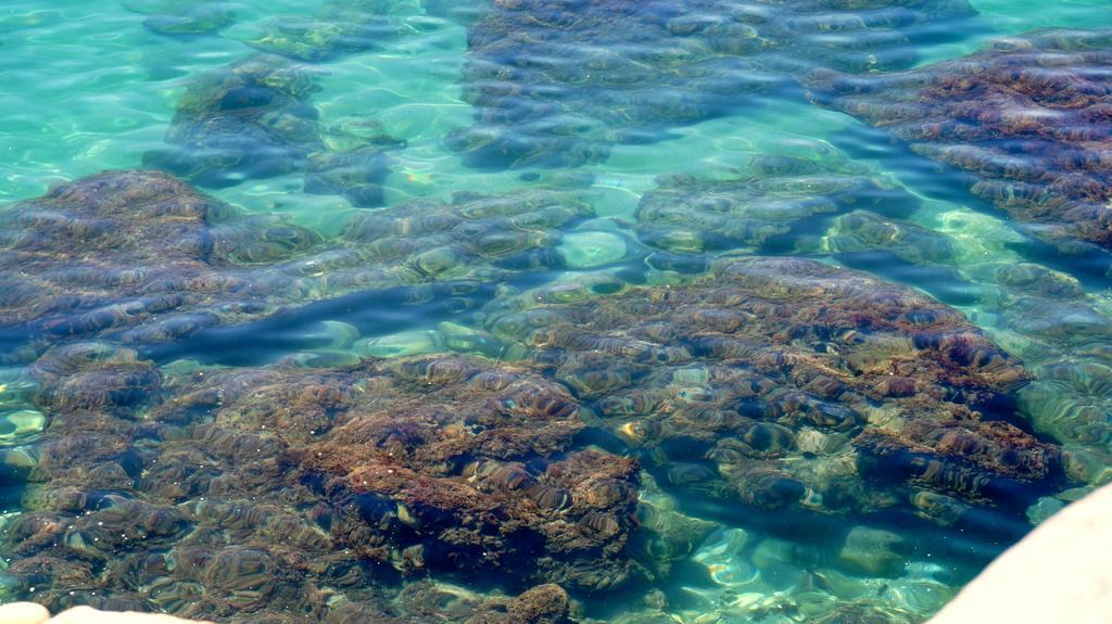 Apartamentos Starnerja En Stella Maris Bagian luar foto