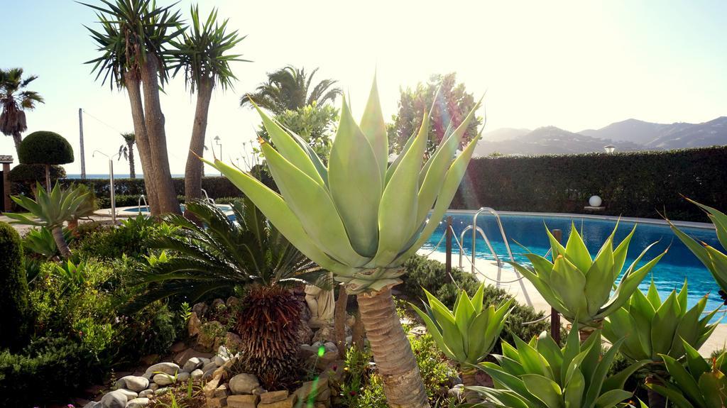 Apartamentos Starnerja En Stella Maris Ruang foto