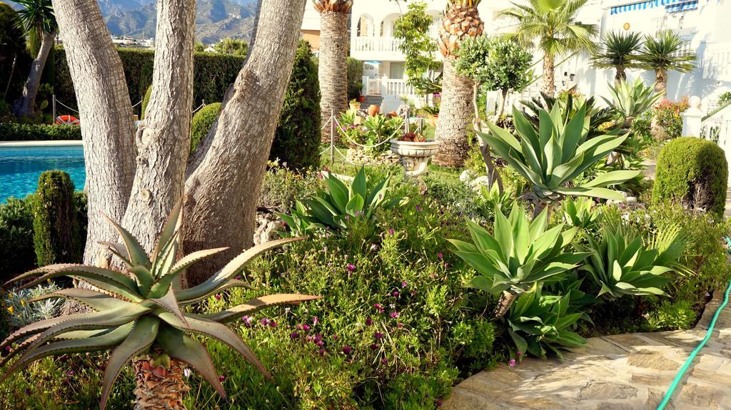 Apartamentos Starnerja En Stella Maris Ruang foto